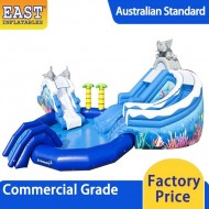 Dolphin Inflatable Water Park